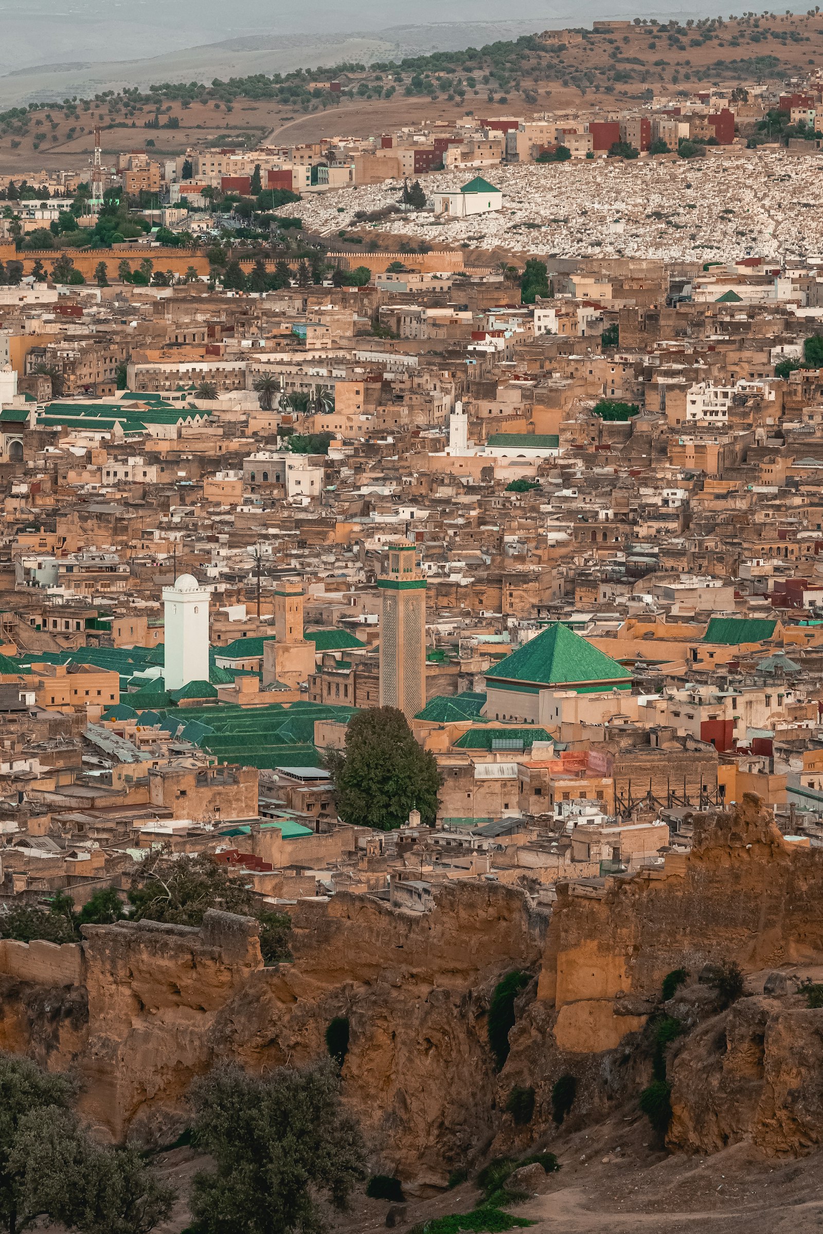 Fès, cité impériale et sa médina