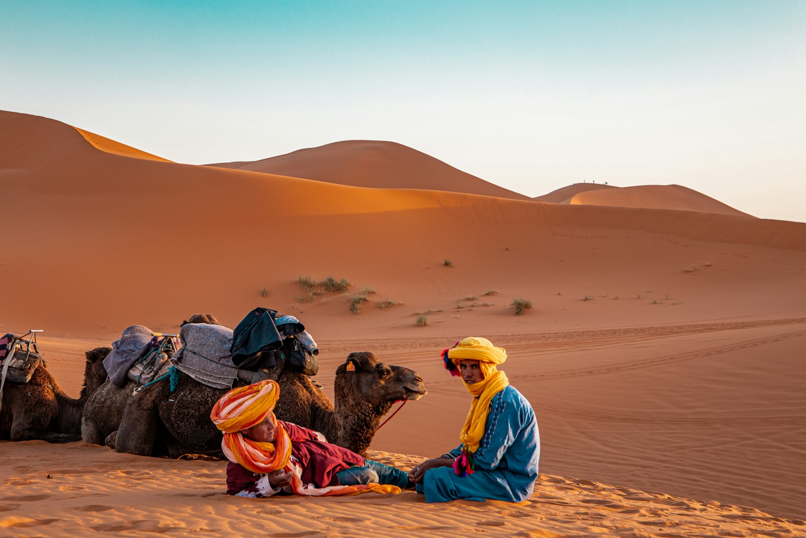 Sahara marocain : dunes de Merzouga